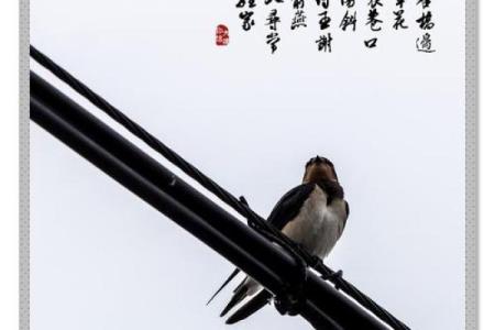 什么是堂前燕风水