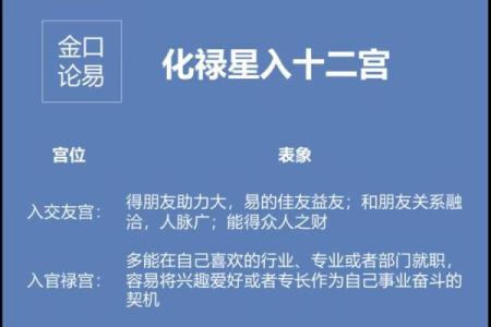 紫薇斗数化禄流通