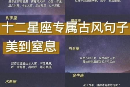 12星座专属古风句子