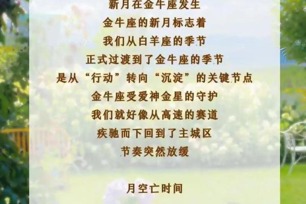 狮子座新月12星座许愿指南