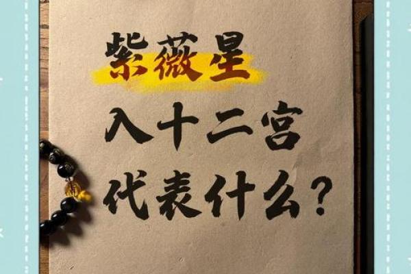 紫薇斗数安卓