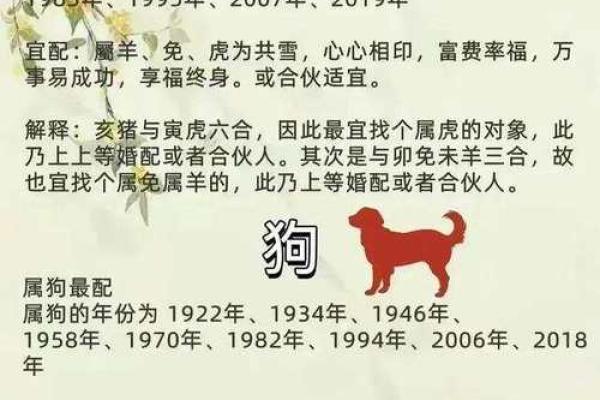 属相配对女性姻缘查询 属相婚姻配对十二生肖配对？