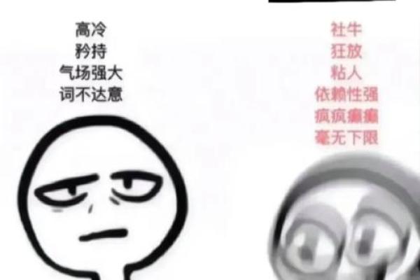 天蝎星座为什么代表了十二星座的人