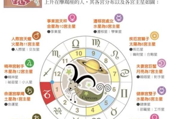 双子座上升星座巨蟹和摩羯座配吗女