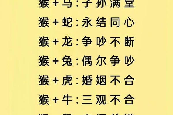 十二生肖配对表