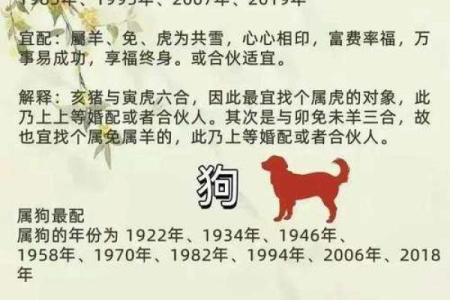 属相配对女性姻缘查询 属相婚姻配对十二生肖配对？