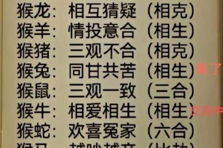生肖属猴和属猪合吗 相合配对指数查询