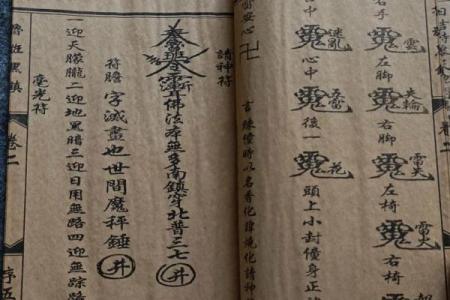 美国有哪些风水房子的书