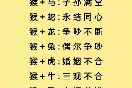 十二生肖配对表