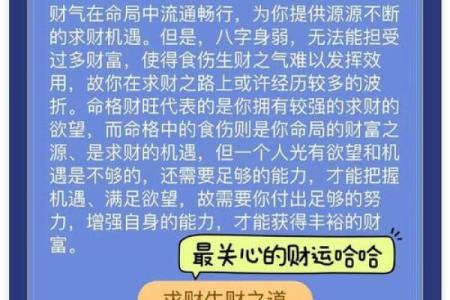 算八字最准的网站