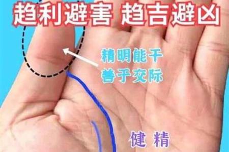 《手相学习百科》：手纹的成长与改变