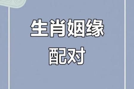 父母与子女属相配对