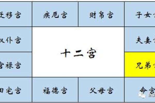 紫薇斗数爱情宫