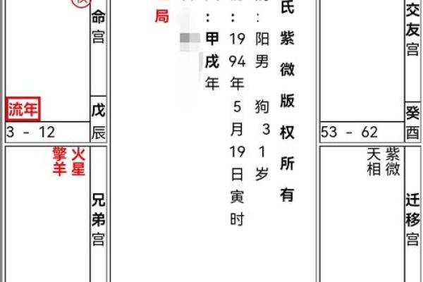 紫薇斗数男顺时