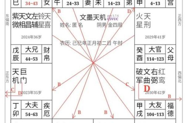 紫薇斗数男顺时