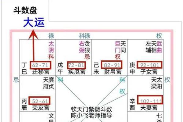 z紫薇斗数排盘