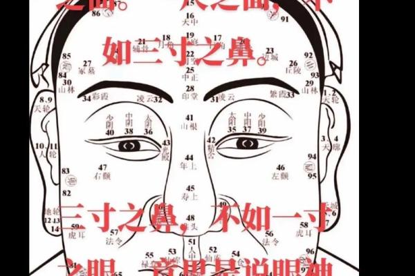 八字无食神