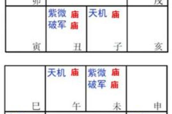 紫薇斗数入库忌