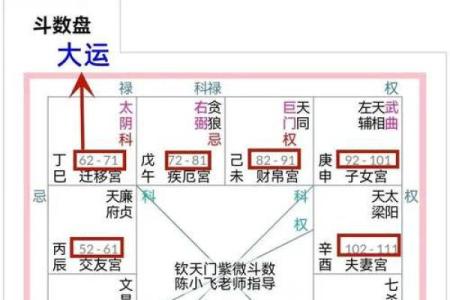 z紫薇斗数排盘