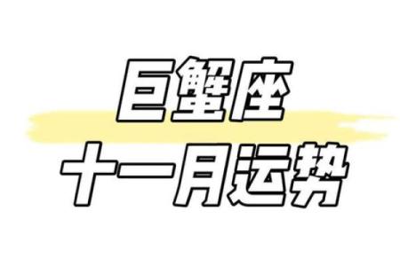 李云天生肖星运大揭秘，运势解析与星座之谜