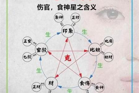 八字无食神