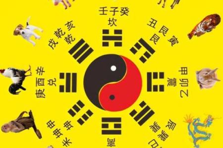 算命六兽排列详解视频