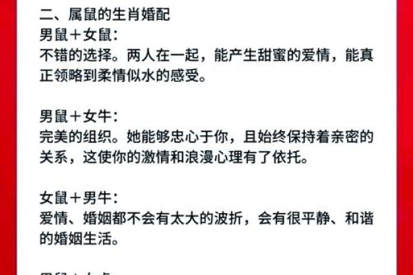 12生肖佳姻缘配对