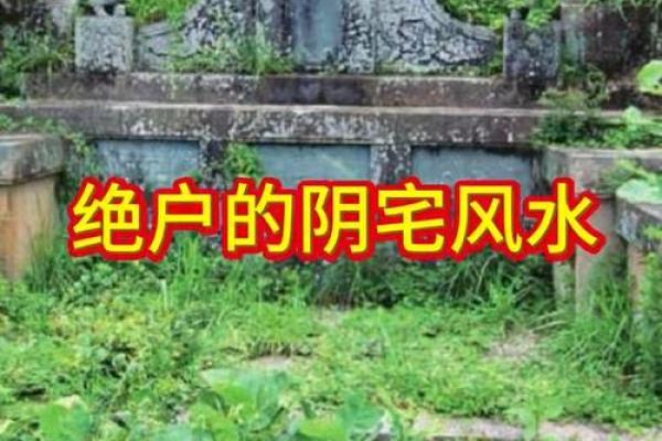 城市风水_别人的祖坟要葬在我家地里