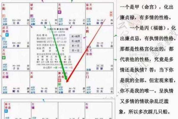 阿财紫薇斗数