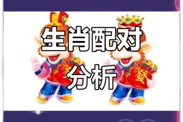 属鼠人姻缘配对 属鼠的人姻缘怎么样？