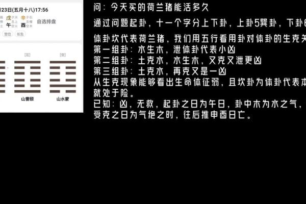 梅花易数找东西怎么确定方位
