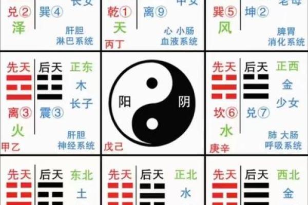 八字地势能看出什么