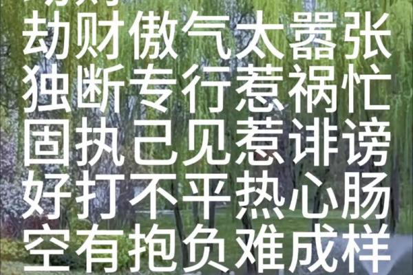八字地势能看出什么