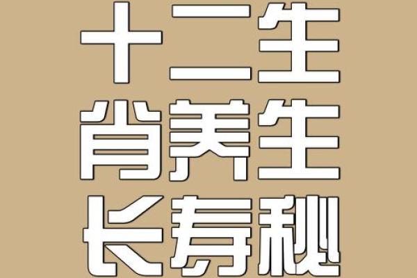 围绕中心生肖养，打造最全生肖百科！