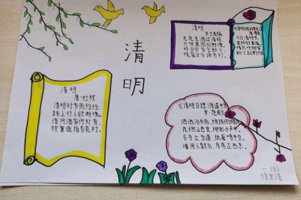 我们的节日：清明节气，做什么