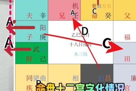 江苏紫微斗数 紫微斗数官网？