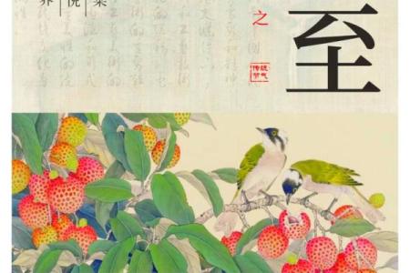 夏至的寓意和象征 夏至的民间民俗