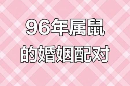 属鼠人姻缘配对 属鼠的人姻缘怎么样？