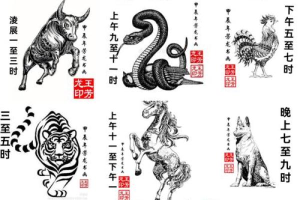 龙和老鼠属相合不合 龙和老鼠配对如何