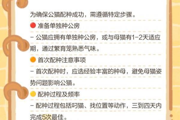 怎么给公猫姓名配对呢图片 怎么给公猫取名字好听？