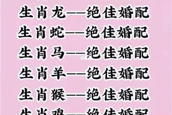 揭秘肖鼠女的属相配对
