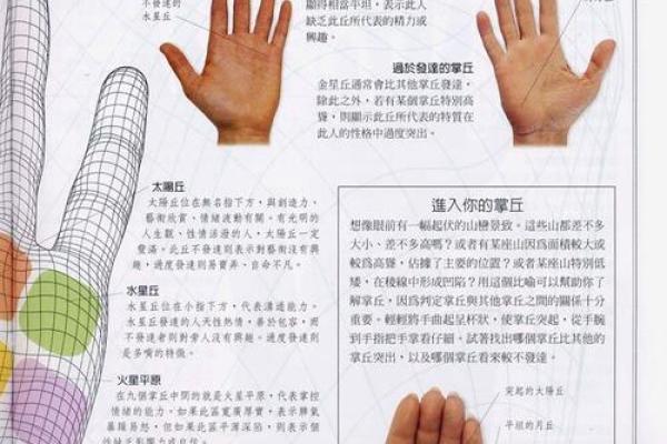 《手相学习百科》：掌纹介绍