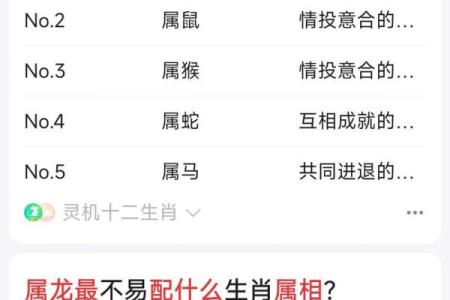 龙和老鼠属相合不合 龙和老鼠配对如何
