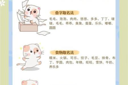 怎么给公猫姓名配对呢图片 怎么给公猫取名字好听？