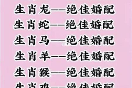 揭秘肖鼠女的属相配对