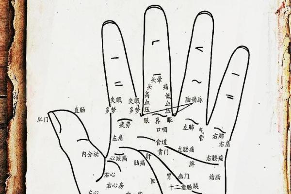 《手相学习百科》：拇指