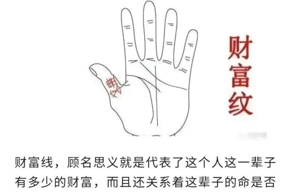 《手相学习百科》：手相看财运和好运