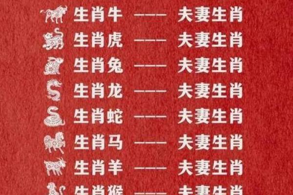 生肖配对查询表
