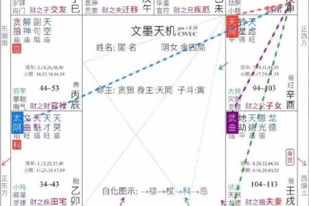 紫薇斗数看流年财富