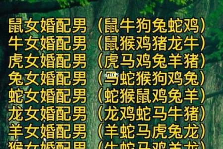 生肖配对查询表